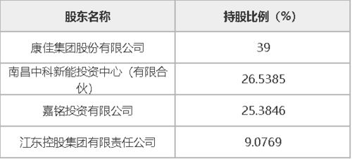 上海康佳科技股份4,095万股股份 占总股本的39